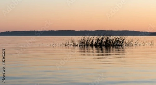 Fototapeta Flock of Birds Taking Flight Over Calm Water During Golden Hour Sunset with Distant Horizon Silhouette