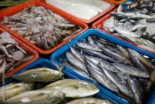Obraz Asian fish market, fresh seafood assortment with various types of fish on trays