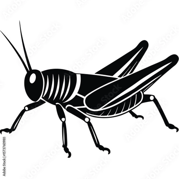 Obraz Grashoper vector silhouette Single collection 