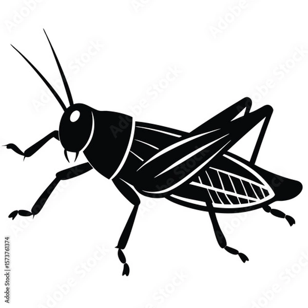 Obraz Grashoper vector silhouette Single collection 