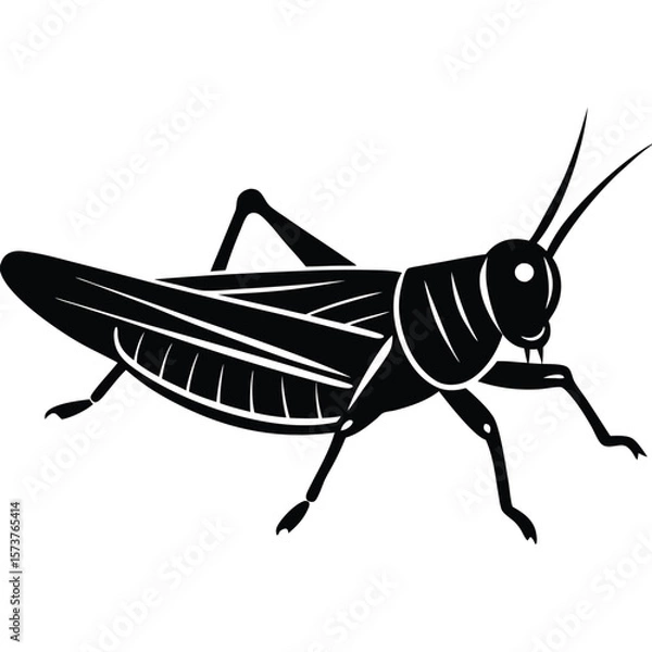 Obraz Grashoper vector silhouette Single collection 