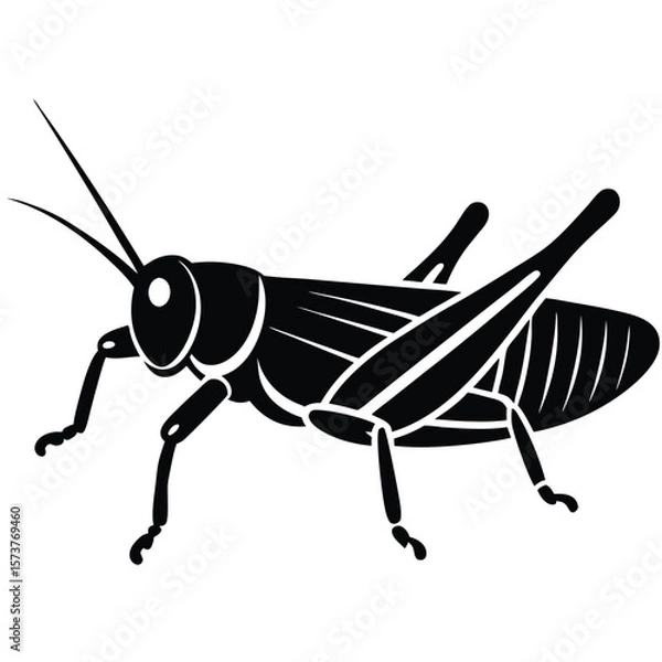 Obraz Grashoper vector silhouette Single collection 