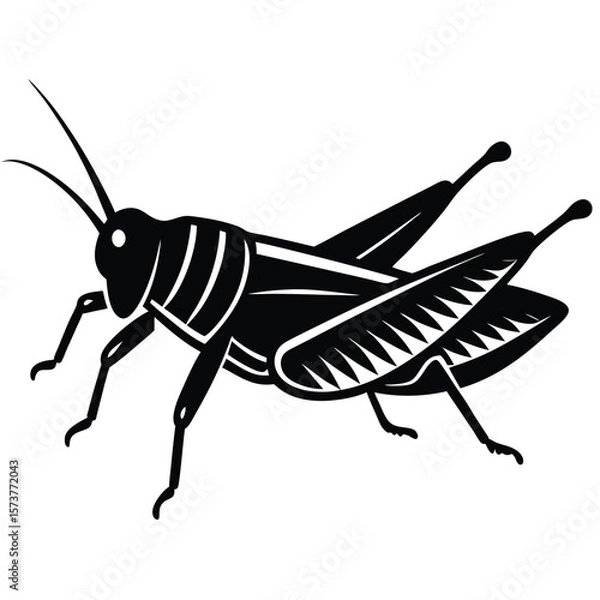 Obraz Grashoper vector silhouette Single collection 