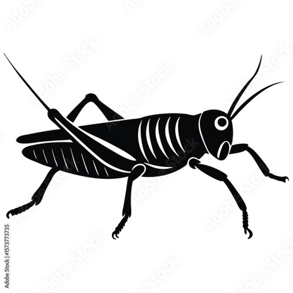 Obraz Grashoper vector silhouette Single collection 