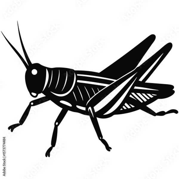 Obraz Grashoper vector silhouette Single collection 