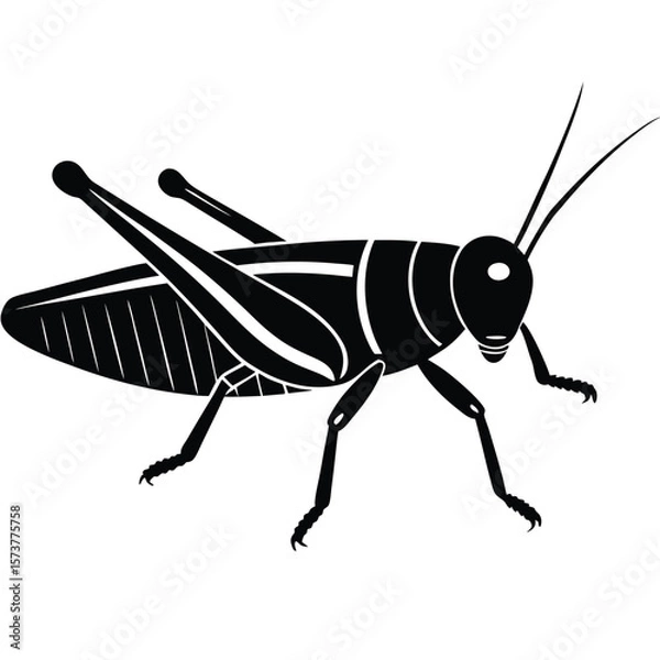 Obraz Grashoper vector silhouette Single collection 