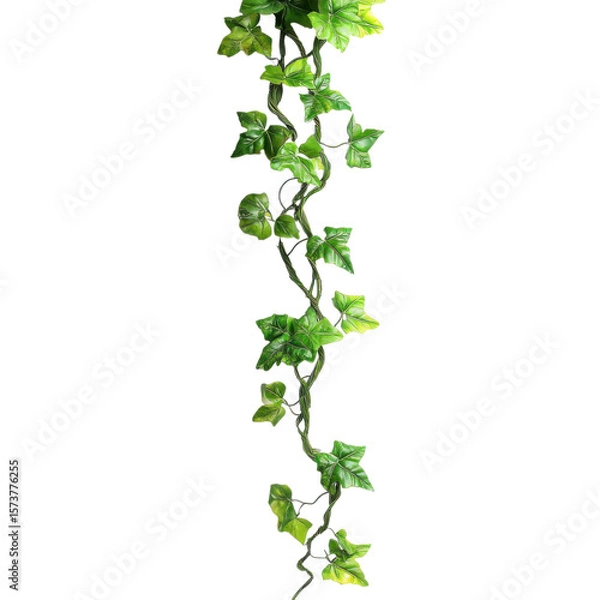 Fototapeta realistic tropical hanging vines with twisted stems and exotic flowers isolated on transparent background