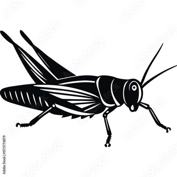 Obraz Grashoper vector silhouette Single collection 