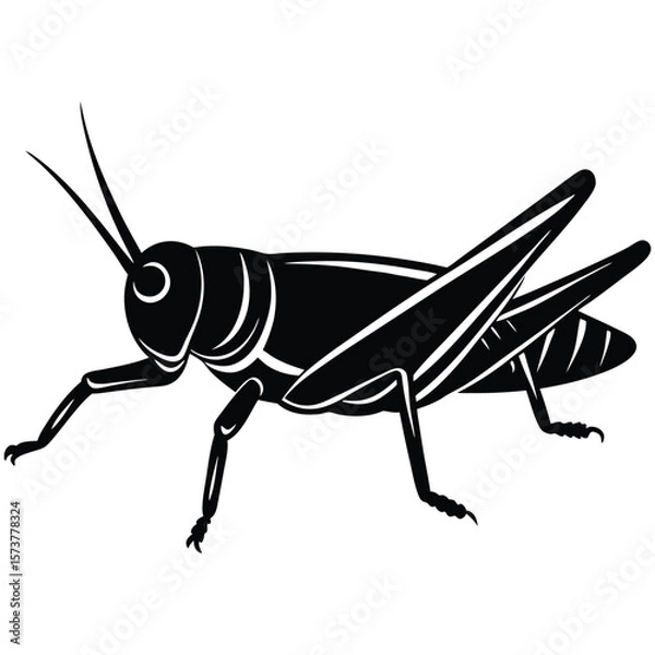 Obraz Grashoper vector silhouette Single collection 