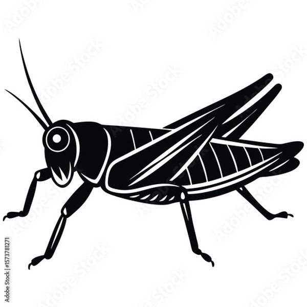 Obraz Grashoper vector silhouette Single collection 