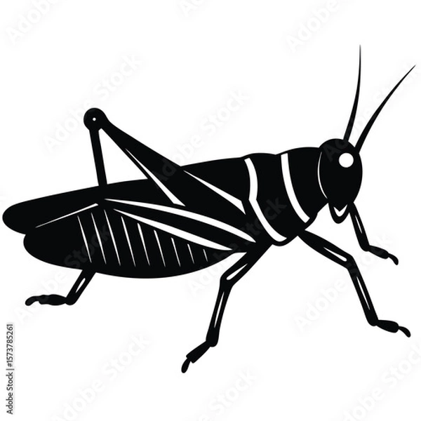 Obraz Grashoper vector silhouette Single collection 