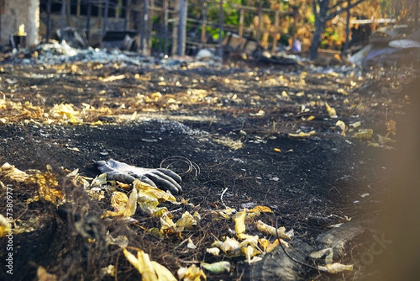 Fototapeta Abandoned glove on scorched earth after wildfire, symbol of disaster aftermath and environmental destruction. Metaphor for human absence, tragedy, irreversible loss. Insurance loss assessment concept