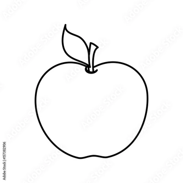 Fototapeta apple fruit icon over white background. vector illustration