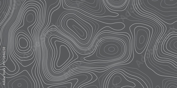 Obraz A seamless abstract background featuring topographic contour lines in varying thicknesses, flowing organically across a dark grey surface.