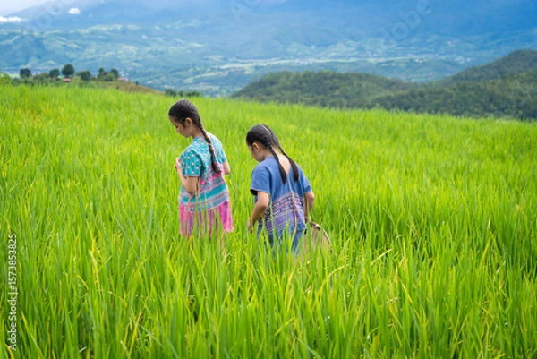 Fototapeta Group of pretty teenage travellers wearing custom-made Karen dresses in a natural green terraced rice fields at Pa Bong Piang rice fields, Mae Chaem, Doi Inthanon, Chiang Mai, Thailand.