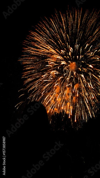 Obraz Watching Canada Day Fireworks