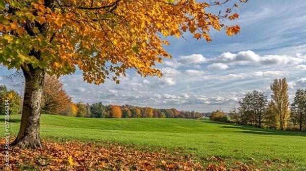 Fototapeta Golden autumn foliage graces a verdant field under a partly cloudy sky.  Fallen leaves scatter near a tree, hinting at seasonal change
