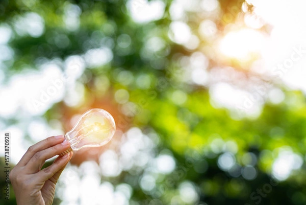 Obraz light bulb against nature, icons