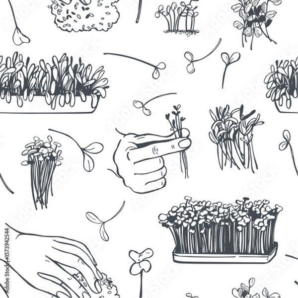 Obraz Hand-drawn microgreens set. Hand holding microgreen sprouts. Vector seamless pattern. 