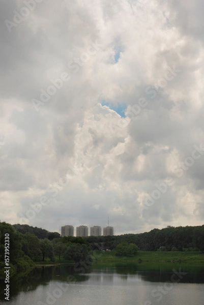 Obraz pond in the park