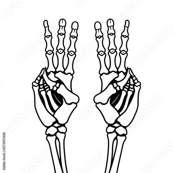 Fototapeta Two skeleton hands making the peace sign gesture 