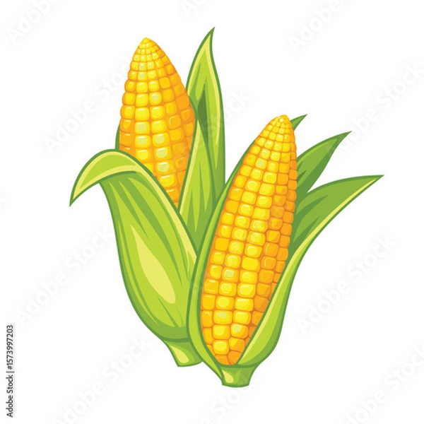Fototapeta corn isolated vector on white background