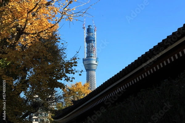 Obraz 紅葉に染まる秋のスカイツリー