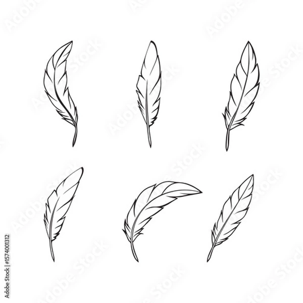Fototapeta Feathers line art set vector