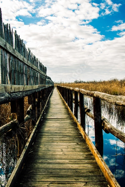 Obraz Il passaggio sull'acqua