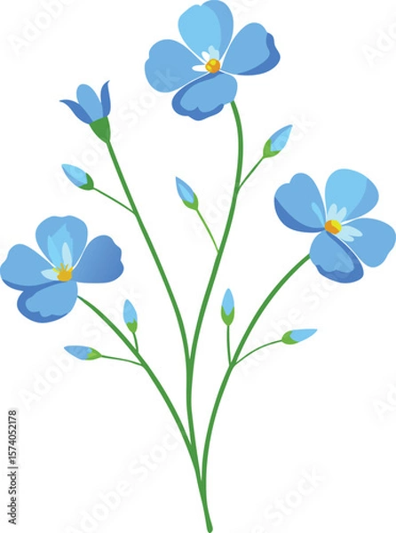 Fototapeta Delicate blue flax flowers with buds on a white background