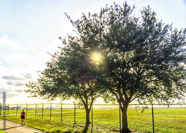 Obraz Sunset at the airport with jogger