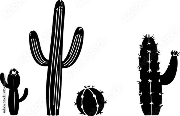Obraz cactus vector illustration