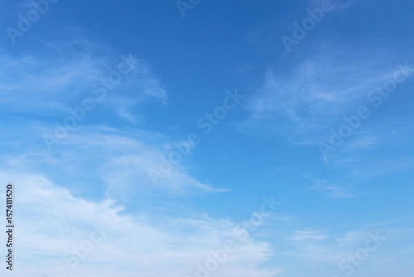 Fototapeta 初夏の薄い雲