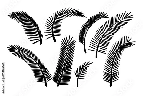 Fototapeta vector black palm leaves set. Clip art isolated on transparent background.