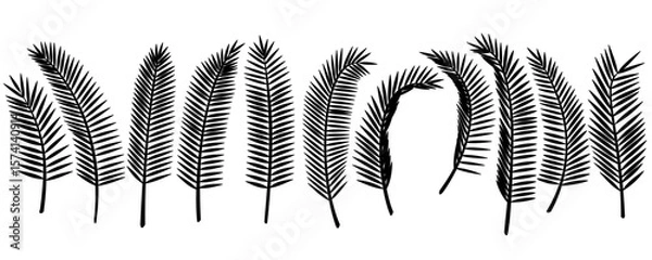 Fototapeta vector black palm leaves set. Clip art isolated on transparent background.