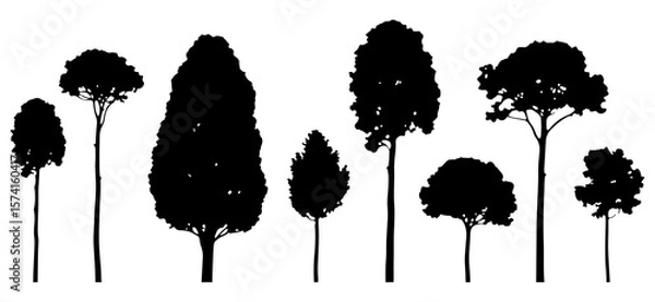 Fototapeta Tree Silhouette Vector Illustration