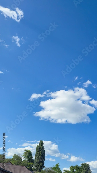 Obraz Blue sky with clouds flying birds and green branches Summer nature. White clouds