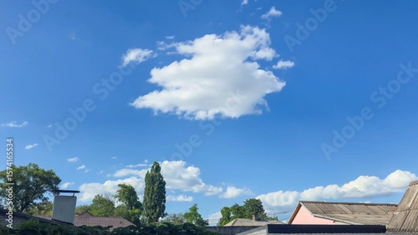 Obraz Blue sky with clouds flying birds and green branches Summer nature. White clouds