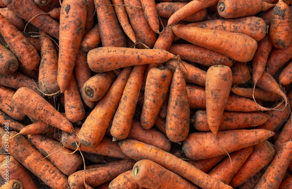 Obraz Top view of fresh raw carrots. Orange vegetable background with natural texture. Healthy organic food concept