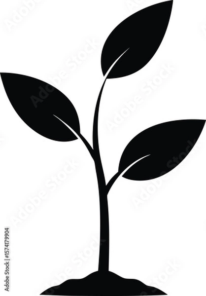 Fototapeta Young sapling tree with two leaves and small roots