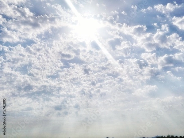 Obraz Sunshine