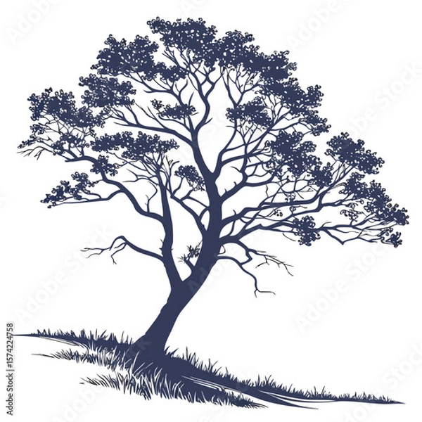 Obraz Majestic dark blue tree with lush foliage on white background nature silhouette