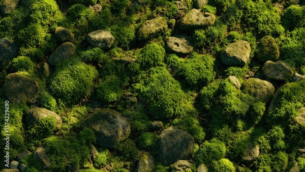 Fototapeta Close up view of green moss and various sized gray rocks creating a natural textured background