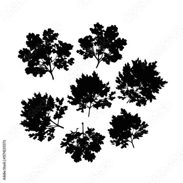 Fototapeta Tree Canopy and Leaf Clusters Silhouette leaves foliage