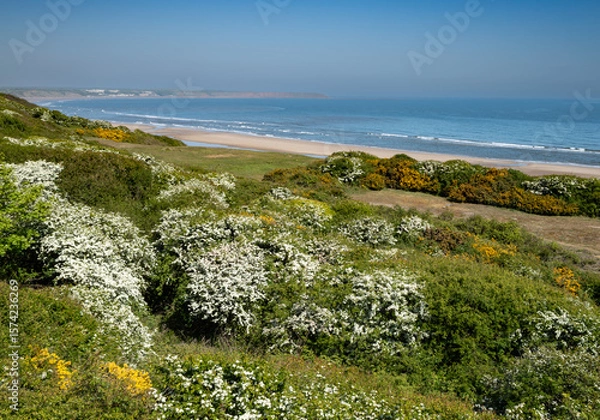 Fototapeta Clifftop view of Reighton Sands in late spring