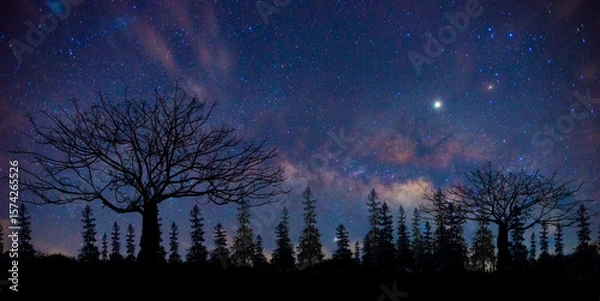 Fototapeta Panorama blue night sky milky way and star on dark background.Universe filled with stars, nebula and galaxy with noise and grain.