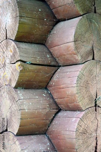 Fototapeta Texture of a log wall
