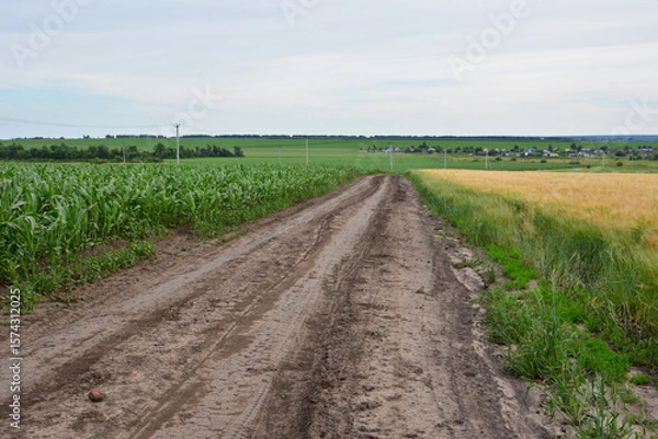 Obraz Dirt road through farmland with crops and distant village under a cloudy sky