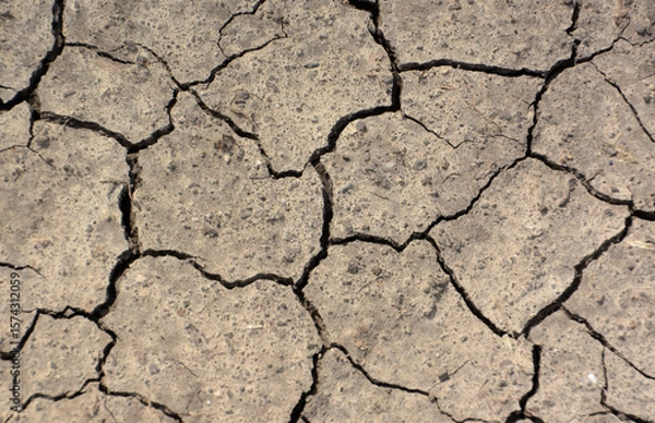 Obraz Cracked Earth Texture A Close-Up View of Dried Soil
