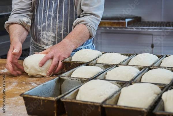 Obraz Close up of baker shaping dough and putting them into tins in bakery